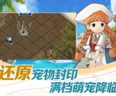 魔力宝贝宠物算档器更新预告：即将推出的新功能，敬请期待！