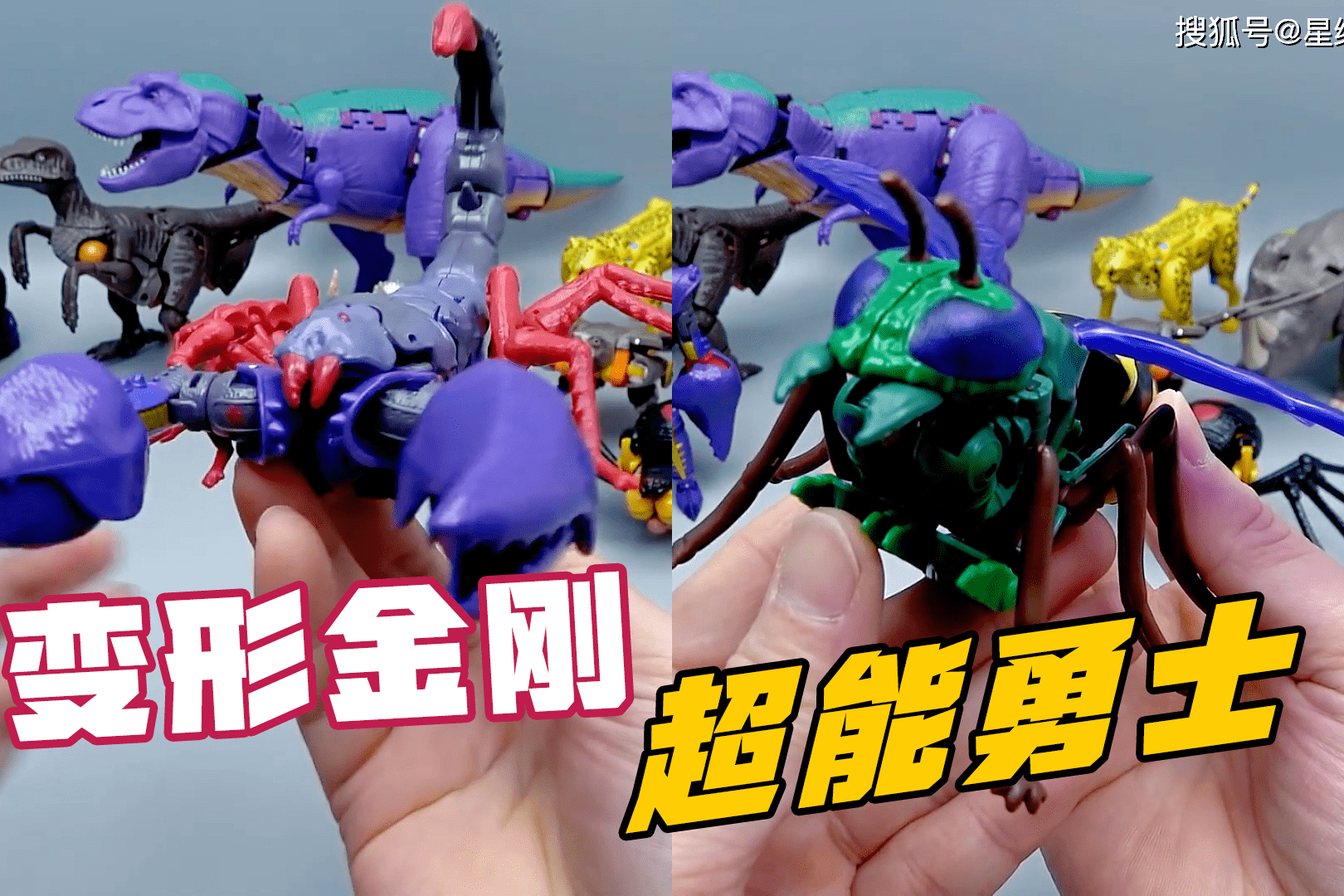 战火再燃！魔力宝贝私服勇士集结号角吹响！的简单介绍