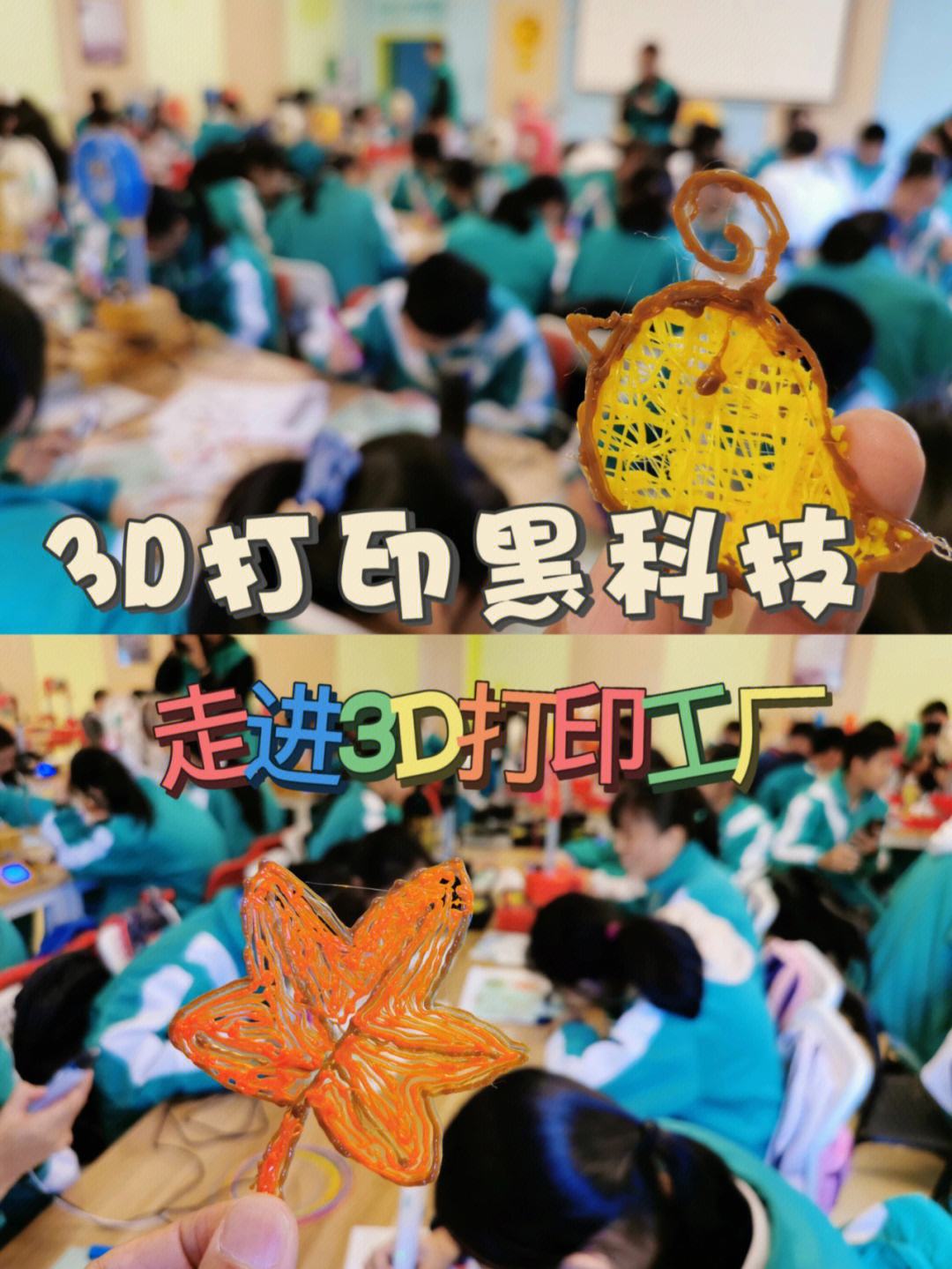 魔力宝贝：探秘未知宝贝的神奇世界