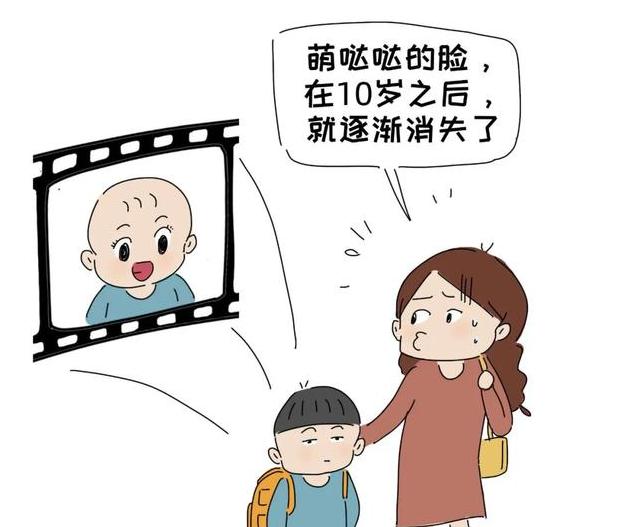 宝贝图鉴大揭秘：每个宝贝的独特之处！