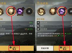 解锁宝贝潜力：打磨技能，提升实力